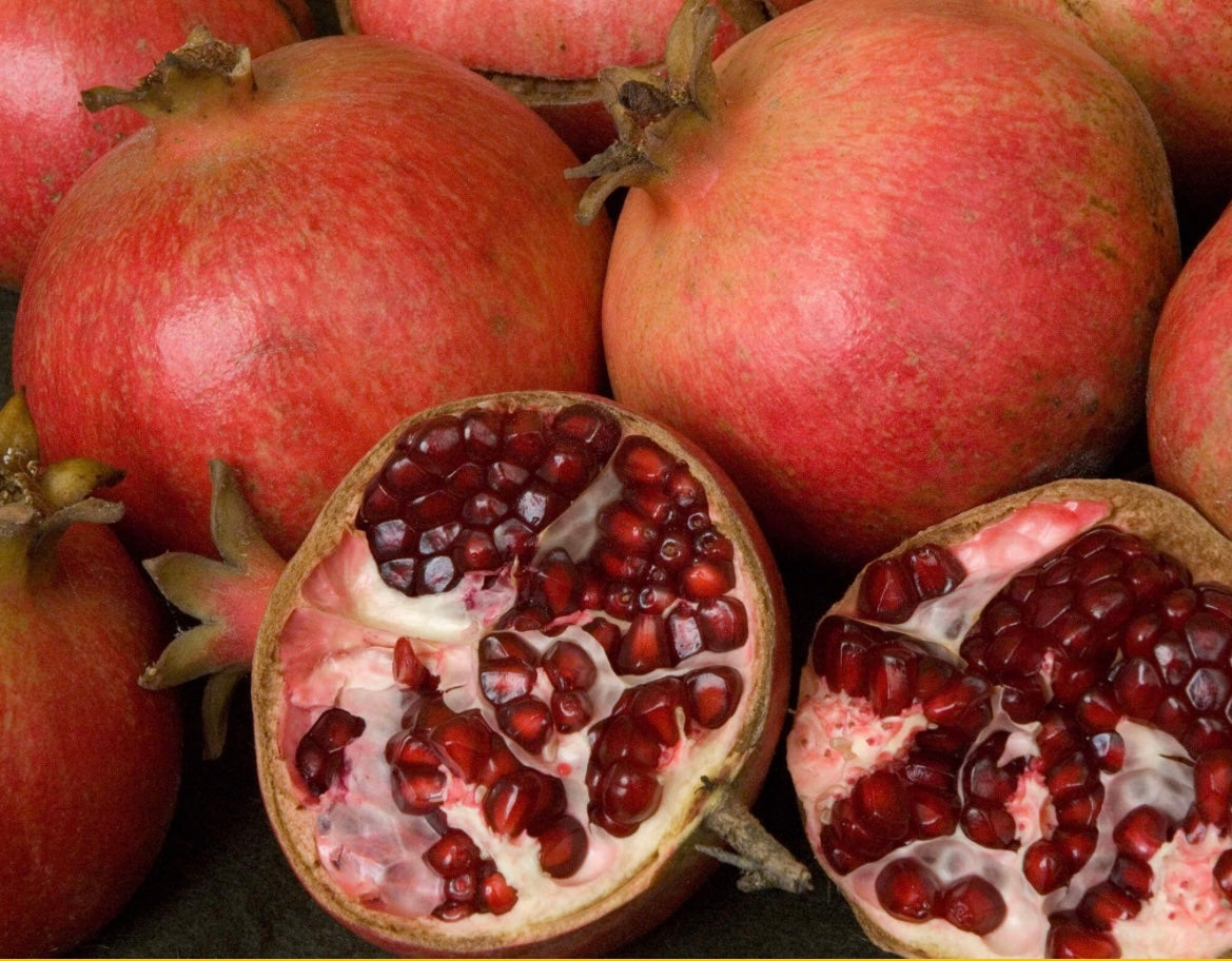 D.W.N. Pomegranate Trees