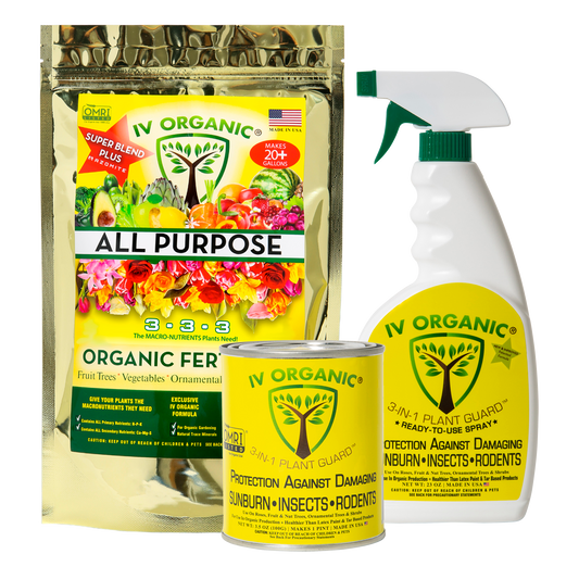 Trio Gift Box – Yellow Label