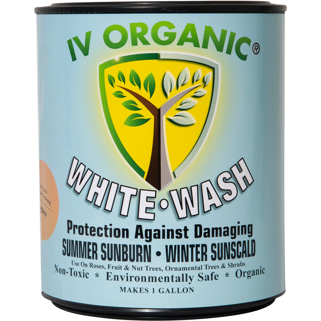 White Wash Plant Guard