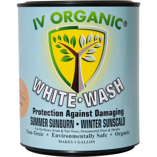 White Wash Plant Guard