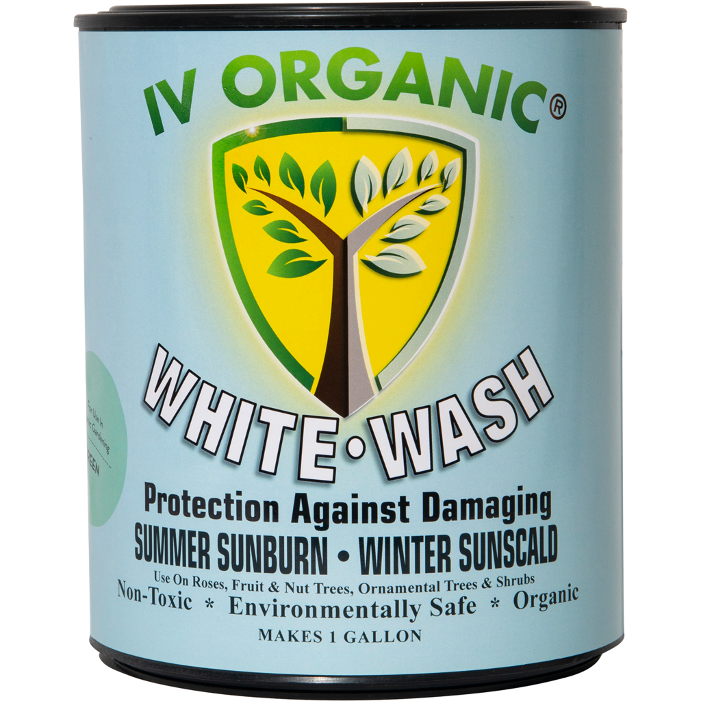White Wash Plant Guard
