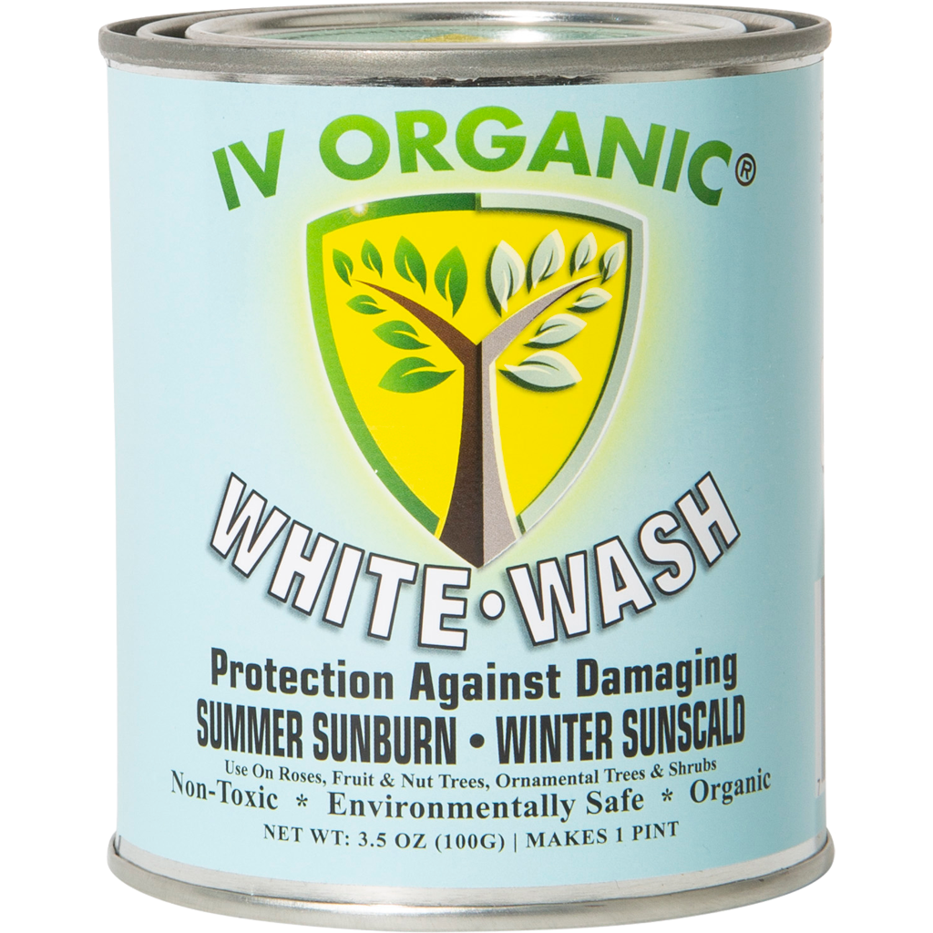 White Wash Plant Guard