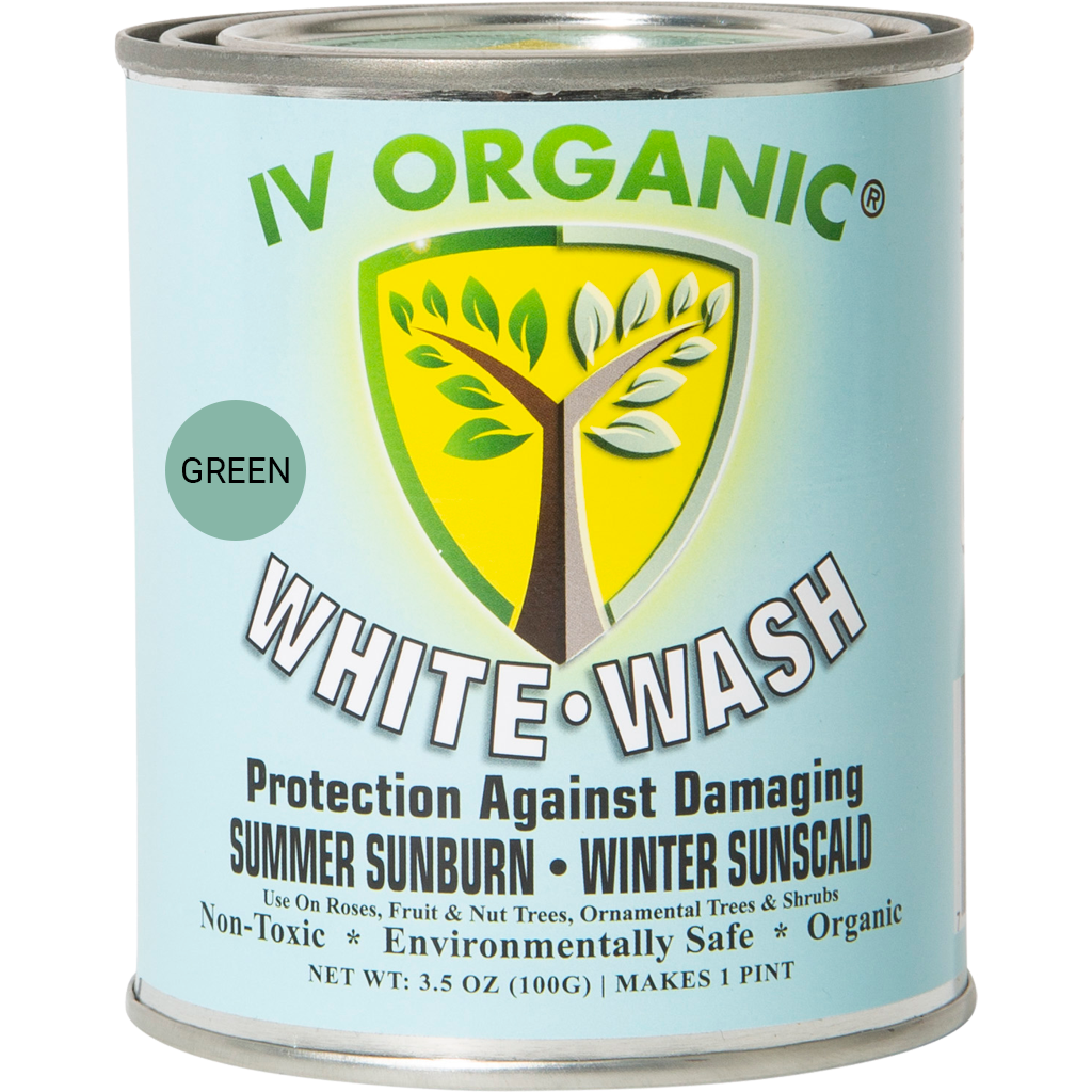 White Wash Plant Guard