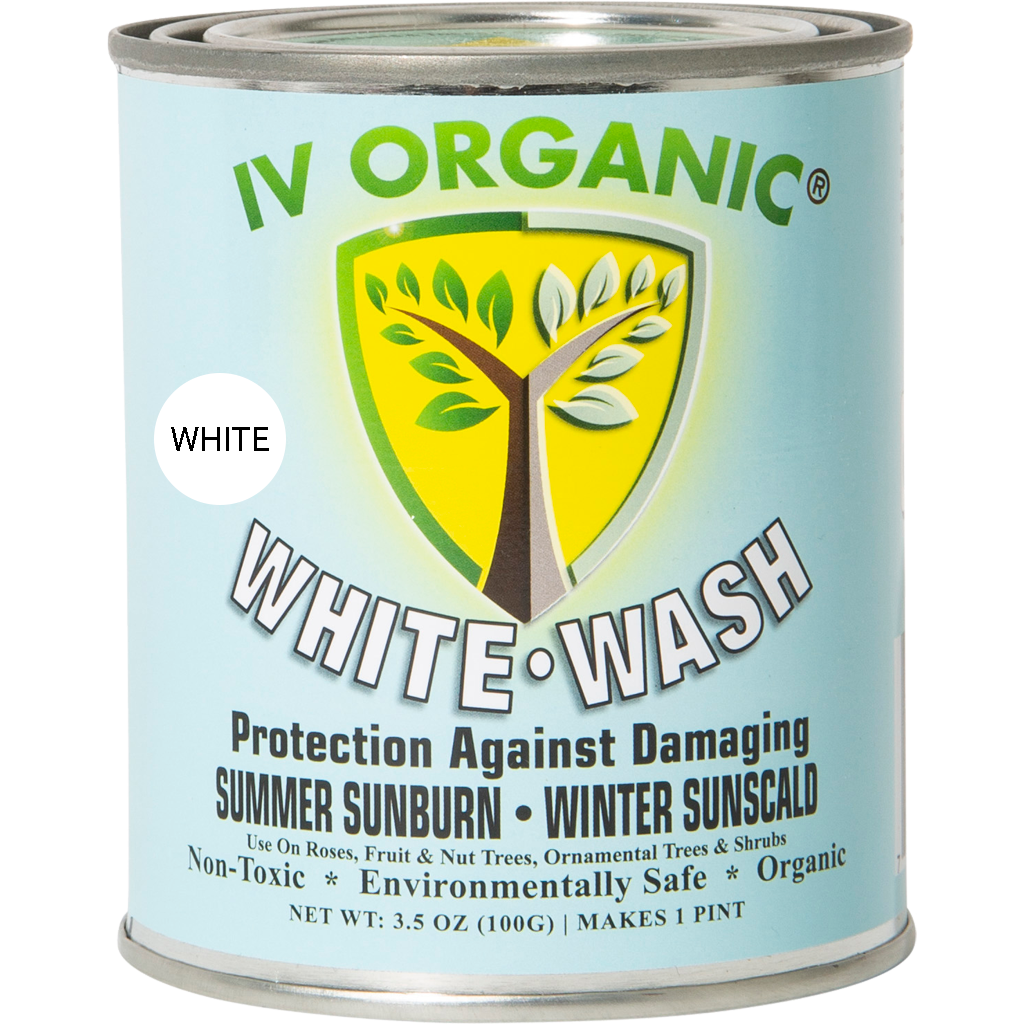 White Wash Plant Guard